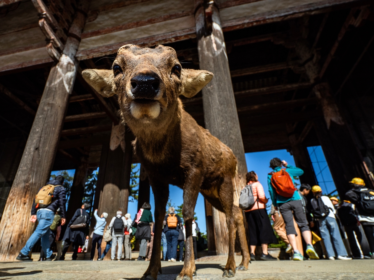 Wycieczka do Japonii i na Okinawę